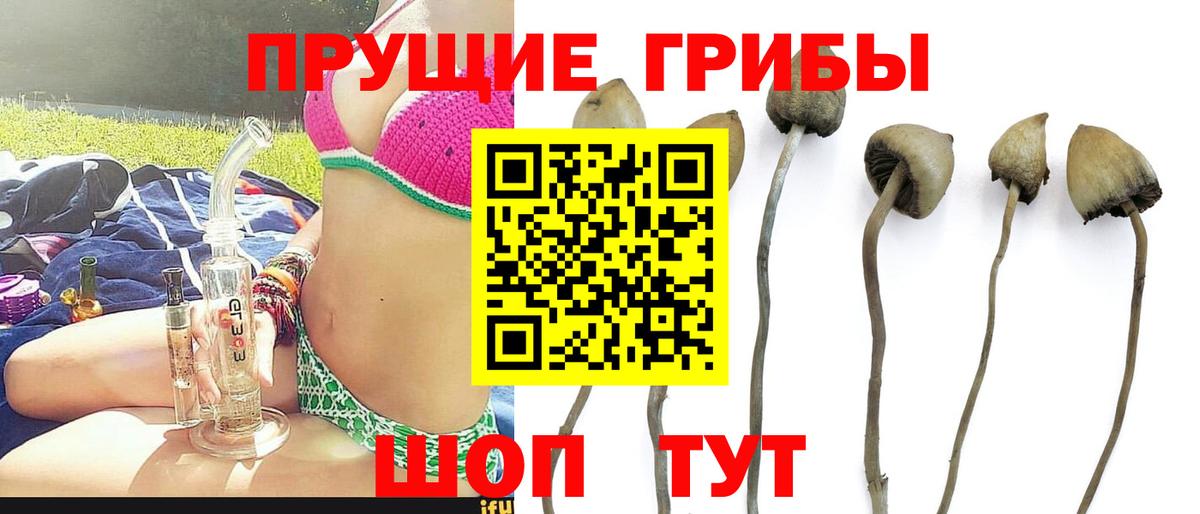 Псилоцибиновые грибы мухоморы Гуково