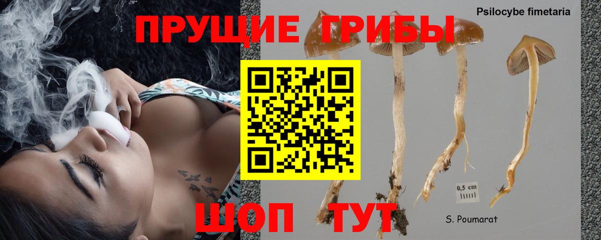Псилоцибиновые грибы Psilocybe  Вход с VPN  Гуково  Галлюциногенные грибы мухоморы 
